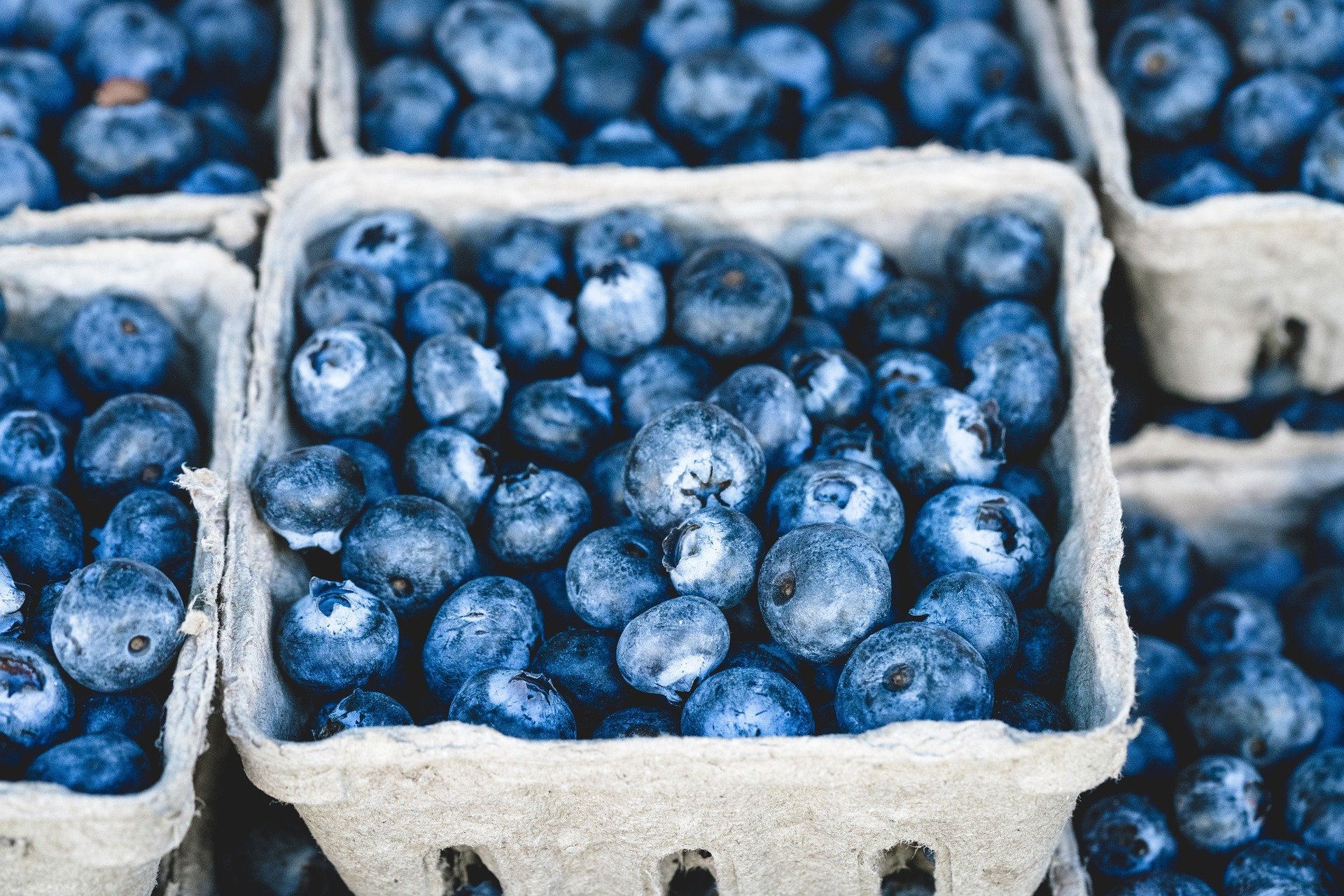 close up shot of blueberries in cardboard container